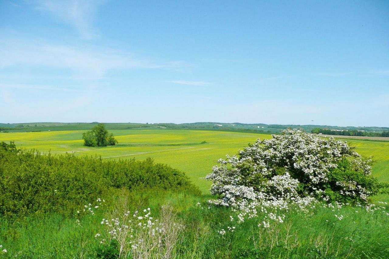 Ferienresidenz Zwei Bodden Fewo2-8 - Balkon, Sauna, Kamin Lietzow 外观 照片